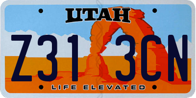 UT license plate Z313CN