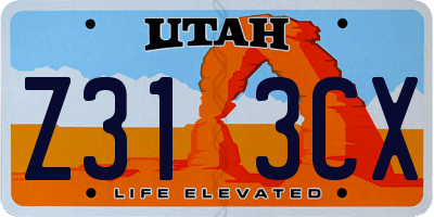 UT license plate Z313CX