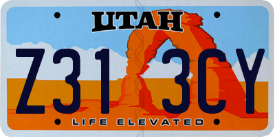 UT license plate Z313CY