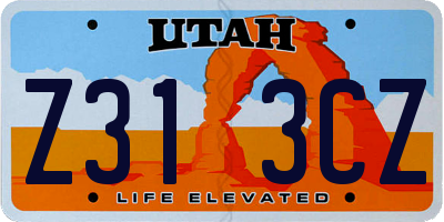 UT license plate Z313CZ