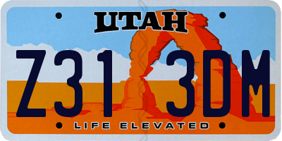UT license plate Z313DM