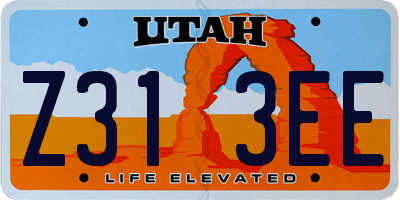 UT license plate Z313EE