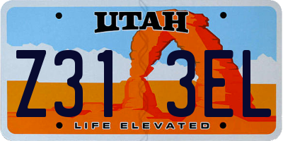 UT license plate Z313EL