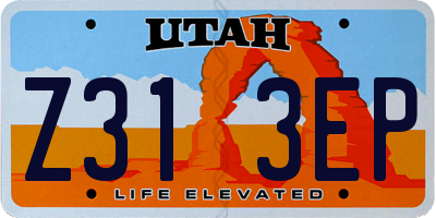 UT license plate Z313EP