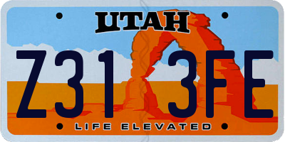 UT license plate Z313FE