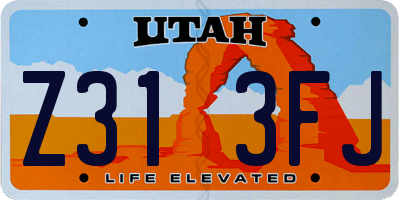 UT license plate Z313FJ
