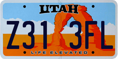 UT license plate Z313FL