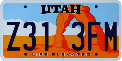 UT license plate Z313FM