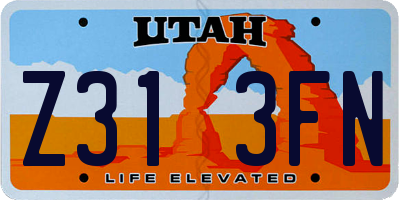 UT license plate Z313FN