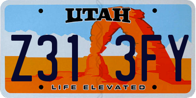 UT license plate Z313FY
