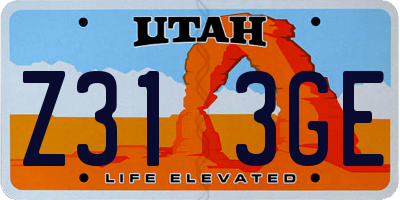 UT license plate Z313GE