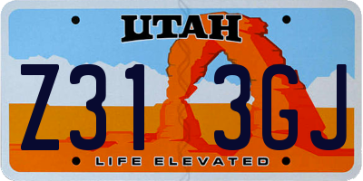 UT license plate Z313GJ