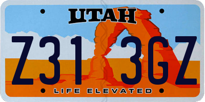 UT license plate Z313GZ