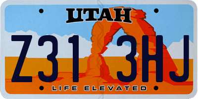 UT license plate Z313HJ