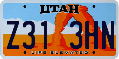 UT license plate Z313HN