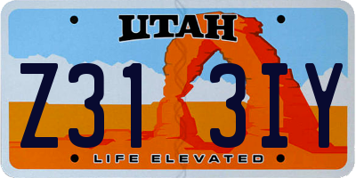 UT license plate Z313IY