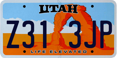 UT license plate Z313JP