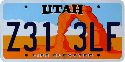 UT license plate Z313LF