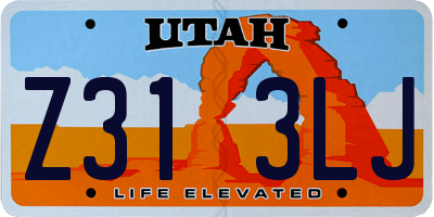 UT license plate Z313LJ