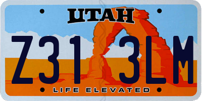 UT license plate Z313LM
