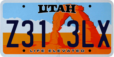 UT license plate Z313LX