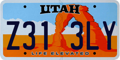 UT license plate Z313LY
