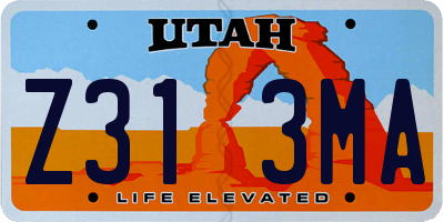 UT license plate Z313MA