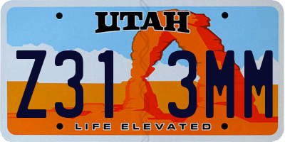 UT license plate Z313MM