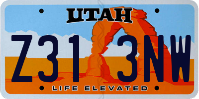 UT license plate Z313NW