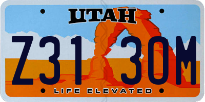 UT license plate Z313OM