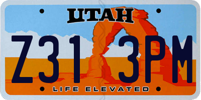 UT license plate Z313PM