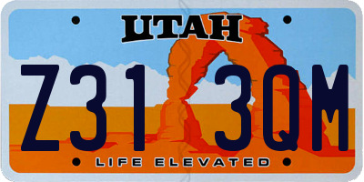 UT license plate Z313QM