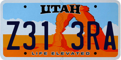 UT license plate Z313RA
