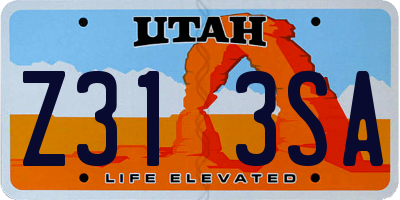 UT license plate Z313SA