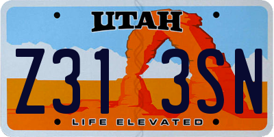 UT license plate Z313SN