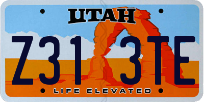 UT license plate Z313TE