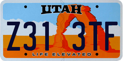 UT license plate Z313TF