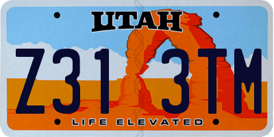 UT license plate Z313TM