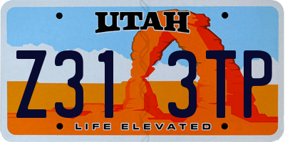 UT license plate Z313TP