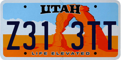 UT license plate Z313TT
