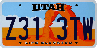 UT license plate Z313TW