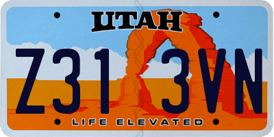 UT license plate Z313VN