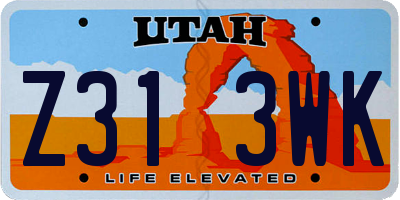 UT license plate Z313WK