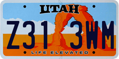 UT license plate Z313WM