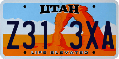 UT license plate Z313XA