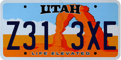 UT license plate Z313XE