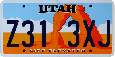 UT license plate Z313XJ