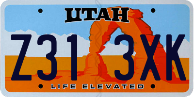 UT license plate Z313XK