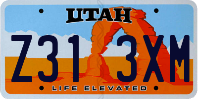 UT license plate Z313XM