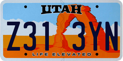 UT license plate Z313YN